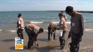 Students reveal Lake Ontario test results