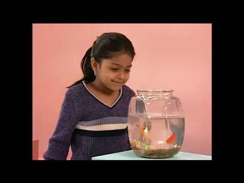 Elmo's World Kids and Baby Segment #13 Exercise #elmosworld