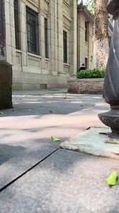 51K views · 1K reactions | ️ Adventure isn’t optional—it’s built in. Authentic lighting system + scale Land Rover body = pure realism on every street. ⚡ City nights. Scale lights. Real adventure.  Shop now & light up your world: https://bit.ly/427ePqy #UrbanRC #ScaleLandRover #RCScaleLights #FMS4x4 #CamelTrophyEdition | FMSmodel | Facebook