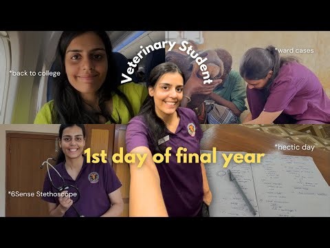 First Day as a Final Year Vet Student 🩺 | My Knya 6sense stethoscope Experience!