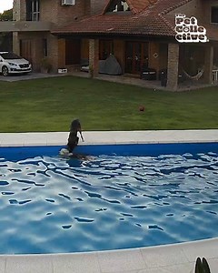 Her doggy sibling came to the rescue 😮👏 | The Pet Collective