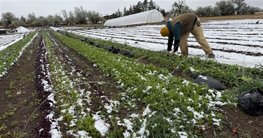 Farmers race to adapt as late spring snow brings both opportunity and risk
