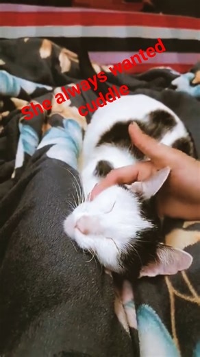 My Little Family 😁 #shorts #youtubeshorts #remix #newsong #blog #tranding #family