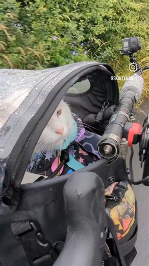 57K views · 6.1K reactions | Day 4 of the Honeypot Children's Charity...