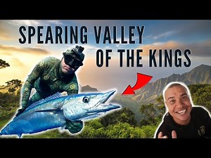 Spearfishing Hawaii EPIC DAY in Valley of the Kings {w/Justin Lee}