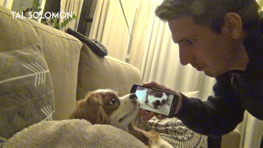 Trick to stop your dog from snoring.