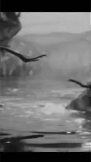 Forgotten Monsters (Varan 1958) #godzilla