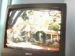 Opening to the 2004 VHS of Miracle