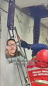 Large snakes draw crowds