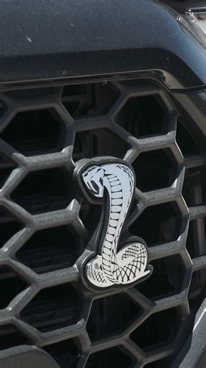 With an optional 785 HP and advanced off-road suspension, the 2024 Shelby F-150 was designed for fun on most any surface. Spec out yours today at shelby.com | Shelby American