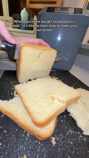 Making Homemade Bread with a Bread Machine