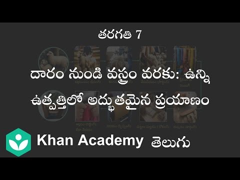 From fiber to fabric [Telugu] | Silk-Wool | Class 7| Science| Khan Academy