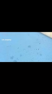 Great DIY idea! How to Make a Thread Spool Holder from an Old Roller Brush #diy #tricks #ideas #tips #hacks #crafts #lifehacks #fypシ #shortsreels #engagment #howto #viralreelsシ #reach #usa | Life simplyfyy