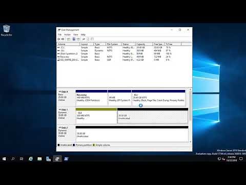 Windows Server 2019 - Working with Mirror Volumes