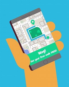 Wag is celebrating over 1,000,000 walks and is trusted by over 100,000 owners! | Wag | Facebook