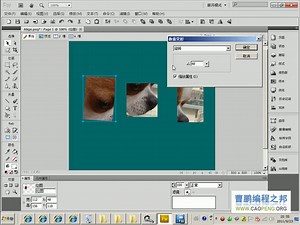 Fireworks教程：3.8