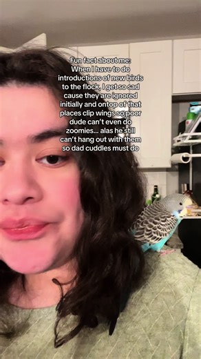 Understanding Bird Introductions: Tips for New Parakeets