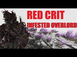 [WARFRAME] Nidus Prime Umbra Build/Ability Overview + Weapon Synergy l SIsters Of Parvos