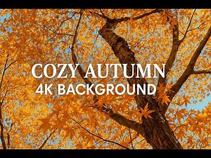 Cozy Autumn 4K Background | Relaxing Fall Aesthetic for Work, Focus & Relax