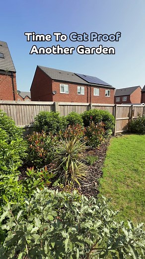 37K views · 382 reactions | Another Garden Secured. Another Cat Saved  ProtectaPet Cat Fence Barriers prevent your cats from leaving the garden, keeping them safe from busy roads, theft, toxic plants, terriorial fights, whilst giving them the outdoor freedom they deserve. Available at DIY Kits or with Nationwide Professional Installation. #catfencing #catproofgarden #catfencebarrier #asmr | ProtectaPet | Facebook