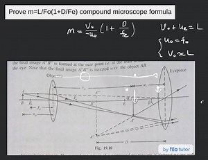 Prove m=L/Fo(1 D/Fe) compound microscope formula... | Filo
