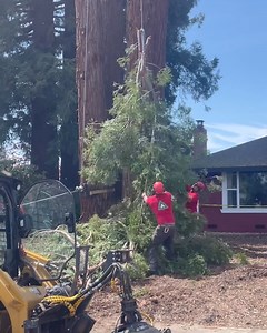 18K views · 122 reactions | Bailey's Outdoor Power Equipment on Reels | Facebook