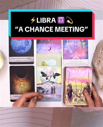 Wild Lotus Tarot on TikTok