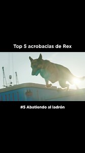 46K reactions · 675 shares | 100% comprobado, la acción sigue a Rex   #HudsonRexAXN NUEVOS EPISODIOS JUEVES 9PM MEX/ COL | 22:05 HRS ARG 梁 | AXN Latinoamérica | Facebook