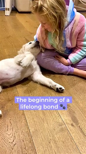 3 comments | Moments like this don’t just happen — they’re built...