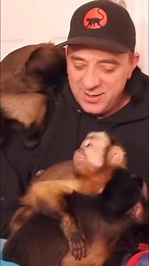 8.7K views · 698 reactions | MonkeyBoo MonkeyMeela MonkeyHappy excited #monkey #excited #friends #playtime | MonkeyBoo | Facebook