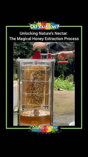 The Magical Honey Extraction Process #honey | Adrushtavantha ಅದೃಷ್ಟವಂತ