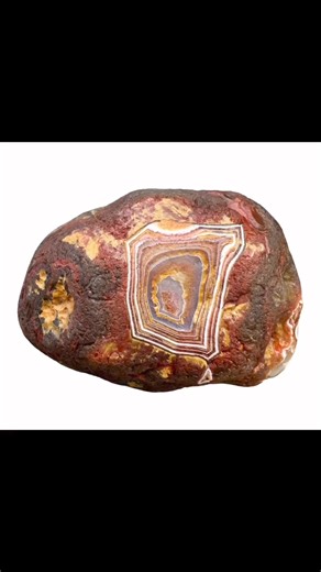 2.4K views · 22 reactions | Lake Superior Agate, formed over a billion years ago by volcanism. #lakesuperior #agate #LSA | Michigan Rocks & Minerals | Facebook