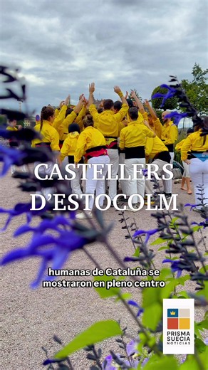 Este domingo, Castellers d’Estocolm mostró en pleno centro de Estocolmo la tradición de los castells, las torres humanas catalanas reconocidas por la UNESCO como Patrimonio Cultural Inmaterial de la Humanidad. El grupo nació en Estocolmo en 2024 y actualmente busca nuevas personas que quieran formar parte de esta tradición en Suecia. Kungsträdgården, Estocolmo castellersestocolm.se #Castellers #Castells #Catalunya #Cataluña #Estocolmo