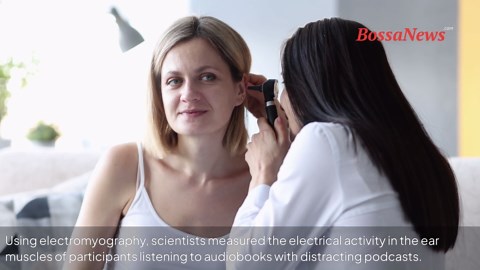 Muscles once thought pointless found to have purpose