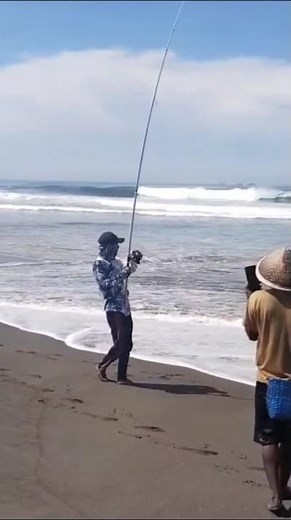 How to fish on the beach #fishing