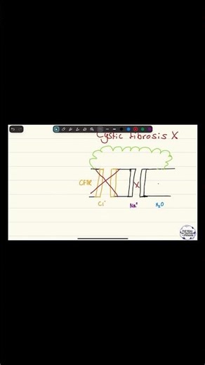 A-Level Biology: Cystic Fibrosis Explained Properly