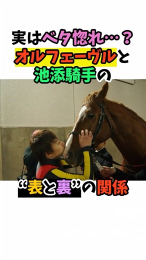 実はベタ惚れ･･･？オルフェーブルと池添騎手の"表と裏"の関係#競馬 #horse