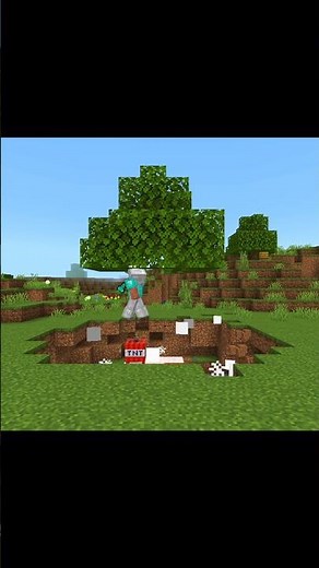 The Ultimate EXPLODING Tree Trap! 😈💥