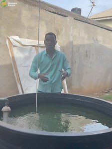 3.2K views · 60 reactions | Causes & Solutions of FIN ROT on your...