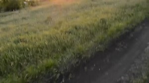 Sometimes an unexpected and unknown person becomes the most important person in life❤️ | Lyrics Vibes