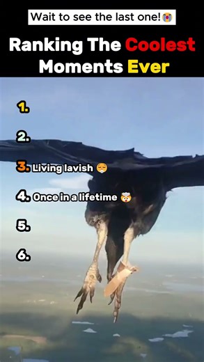 Ranking The Coolest Moments Ever Recorded! 🤯