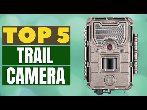 Top 5 Trail Cameras for Wildlife Enthusiasts: A Comprehensive Review On Aliexpress