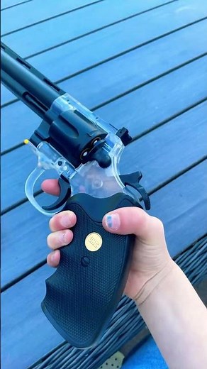 First day of using my BB gun