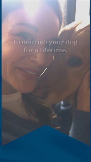 Find a recipe with the superior ingredients your dog deserves from BLUE. | Blue Buffalo