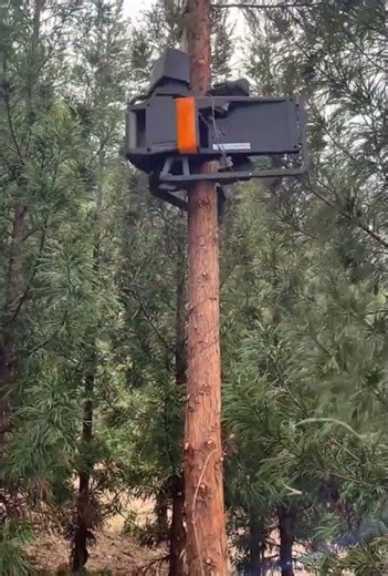 Ultimate Guide to Garden, Forestry, & Agricultural Machinery