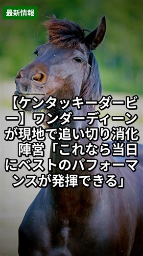 【ケンタッキーダービー】ワンダーディーンが現地で追い切り消化 陣営「これなら当日にベストのパフォーマンスが発揮できる」 4.25｜競馬情報 #Shorts