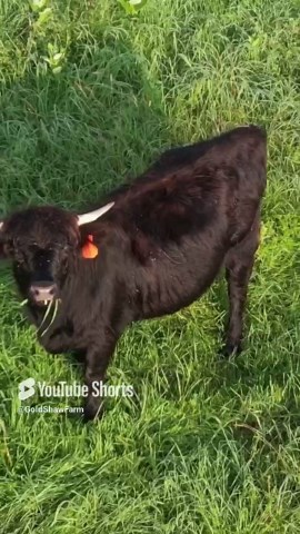 Ecosystem Managers: Why Farmers Aren’t Just Growers