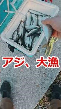 【ちょび釣り】アジング中に突然来た…この引きヤバい【ちょびた×早春の海】