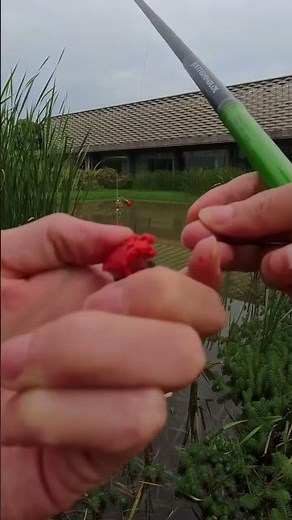 The BEST Beginner Tanago Fishing Kit? | Affordable Micro Fishing Setup for First-Time Anglers