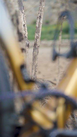 Introducing the Grifn RS: your ultimate all-road companion, crafted for unpaved paths and smooth comfort rides alike. Embrace versatility and explore every terrain with confidence. #RidleyBikes #Ridley #GrifnRS #AllRoad | Ridley Bikes